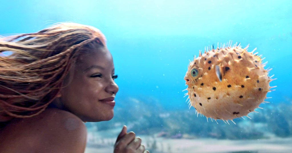 おときち tweet media