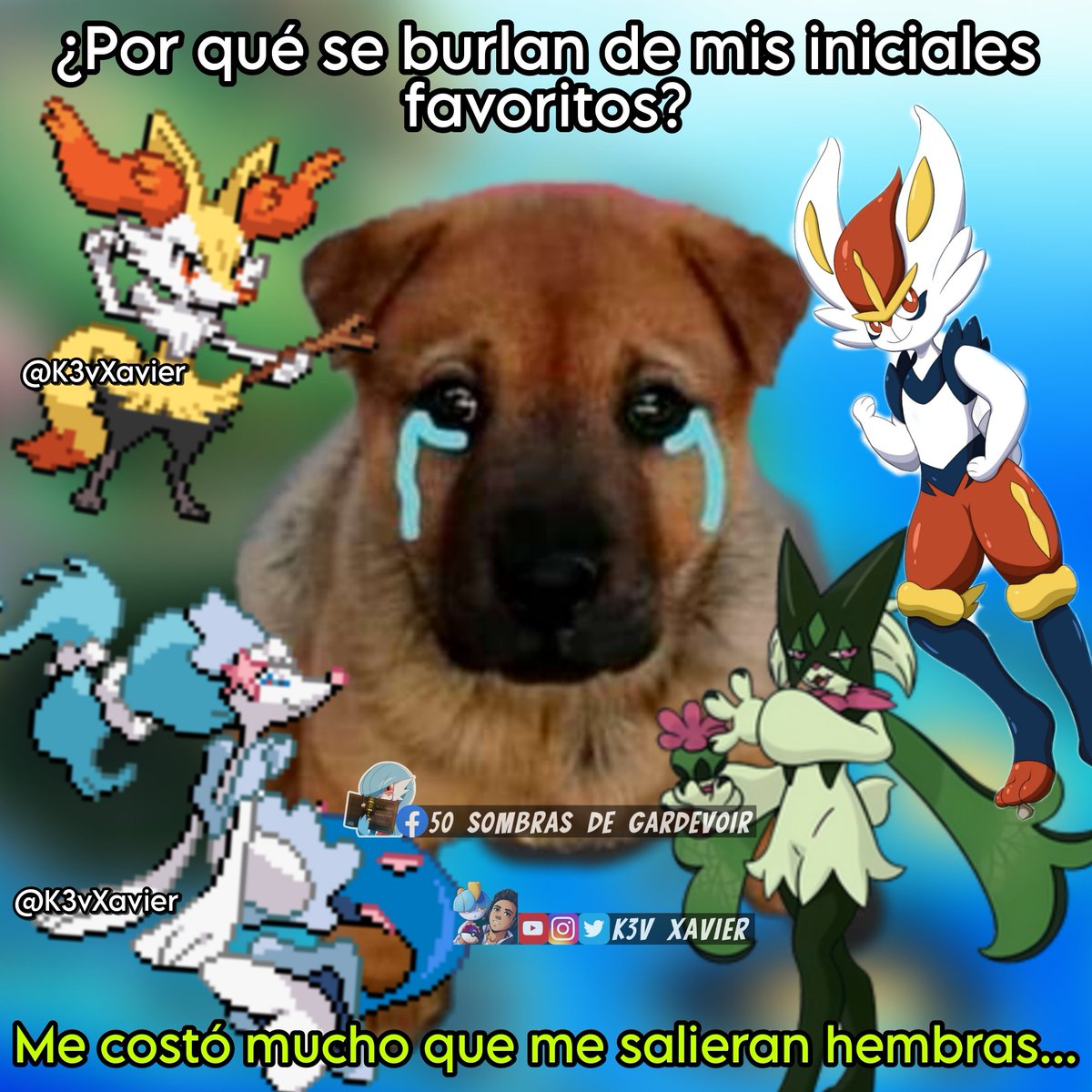 50 Sombras de Gardevoir tweet media