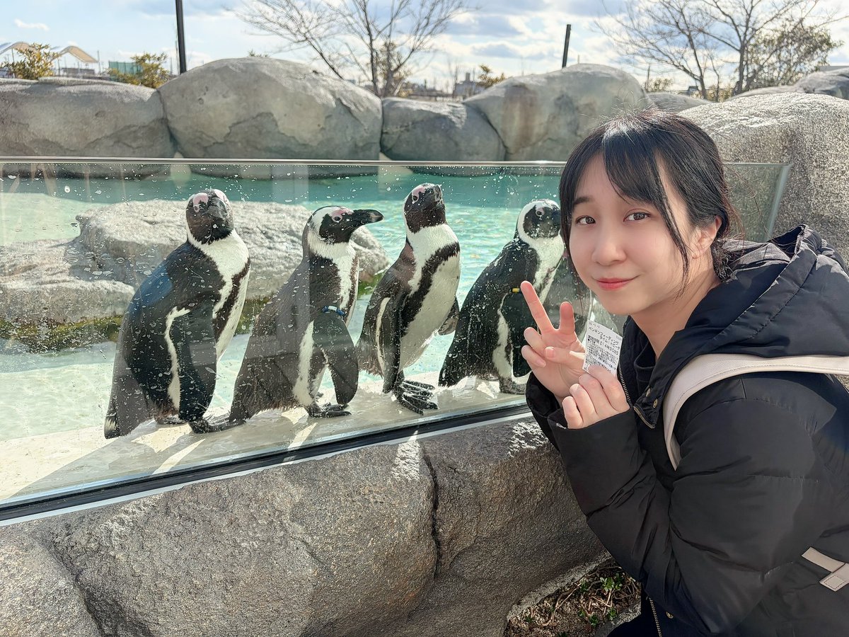 長尾 真奈美 tweet media