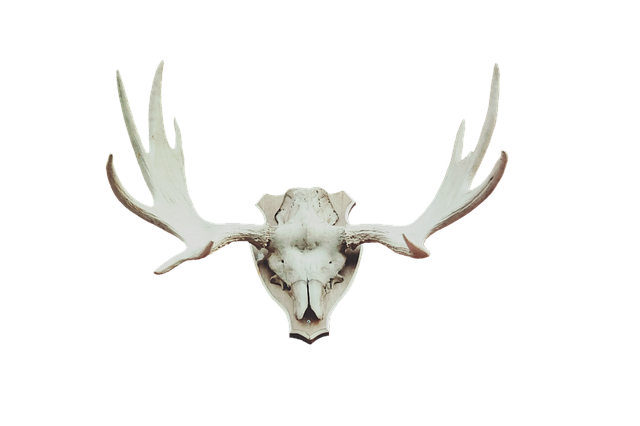 Jorge Kanter tweet media