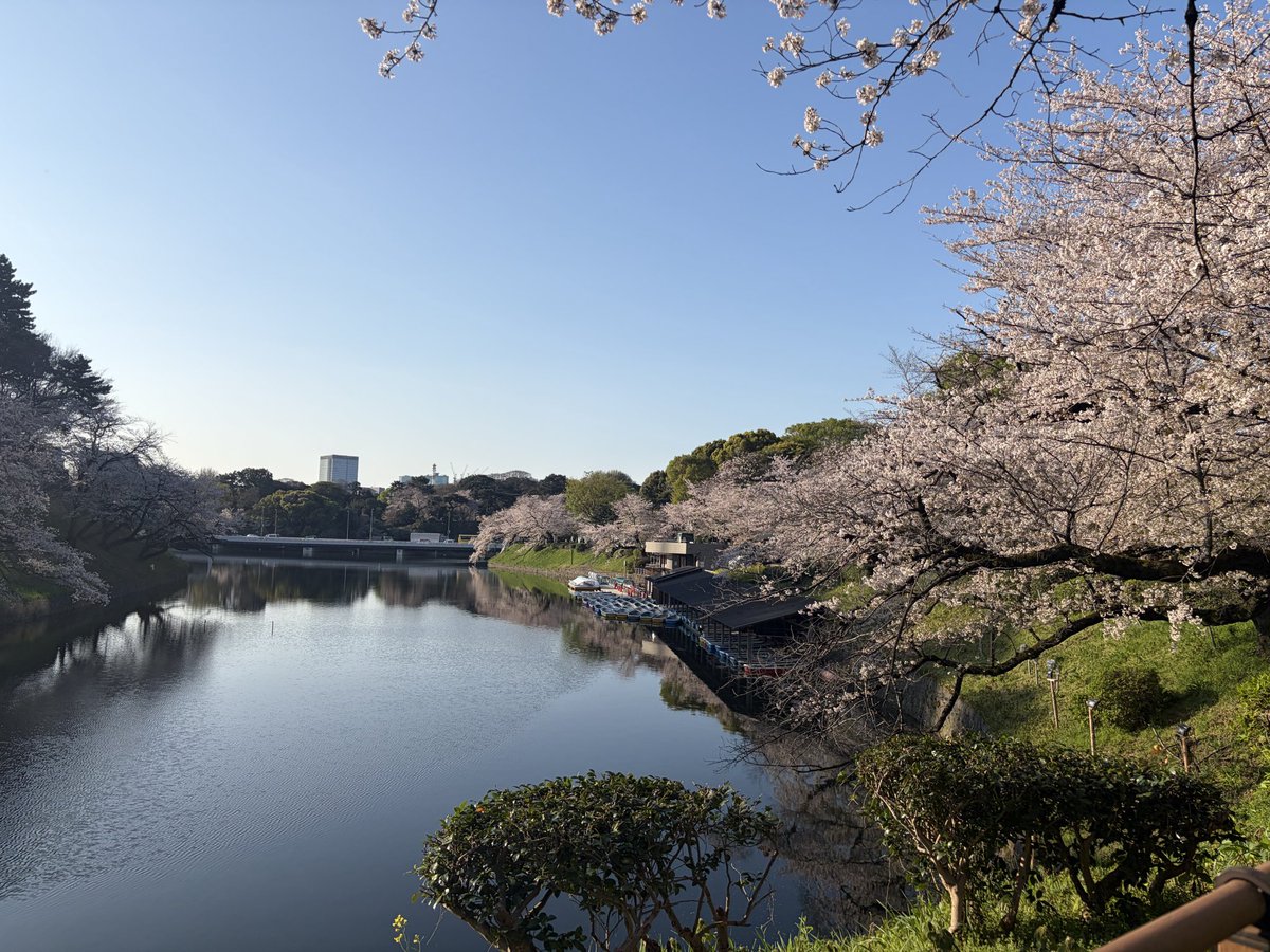 ツインズMM tweet media