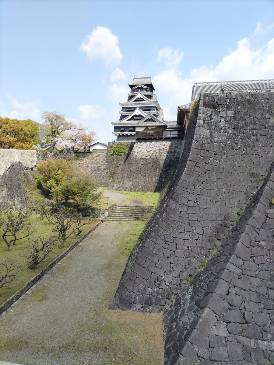 花作りと柴犬翔🌹🌸🐶 tweet media