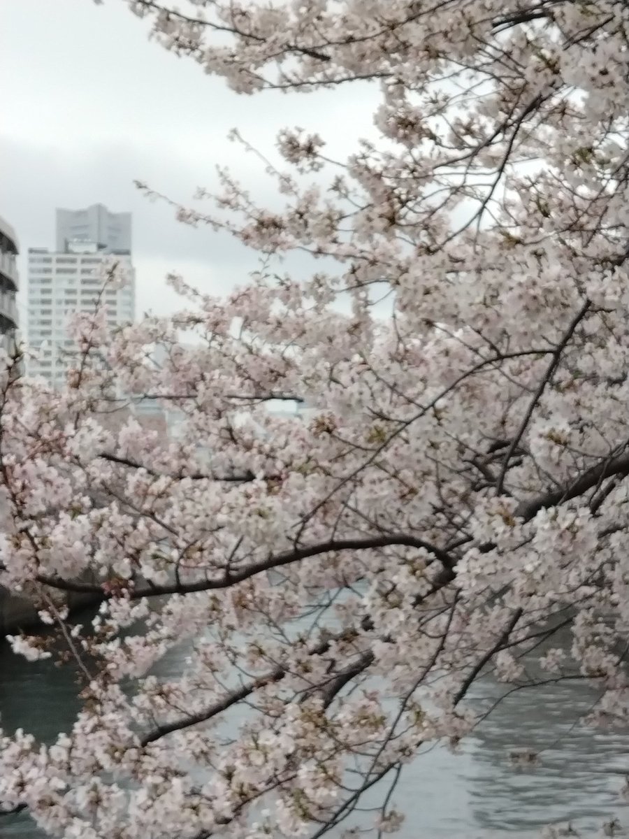 大場正明 tweet media