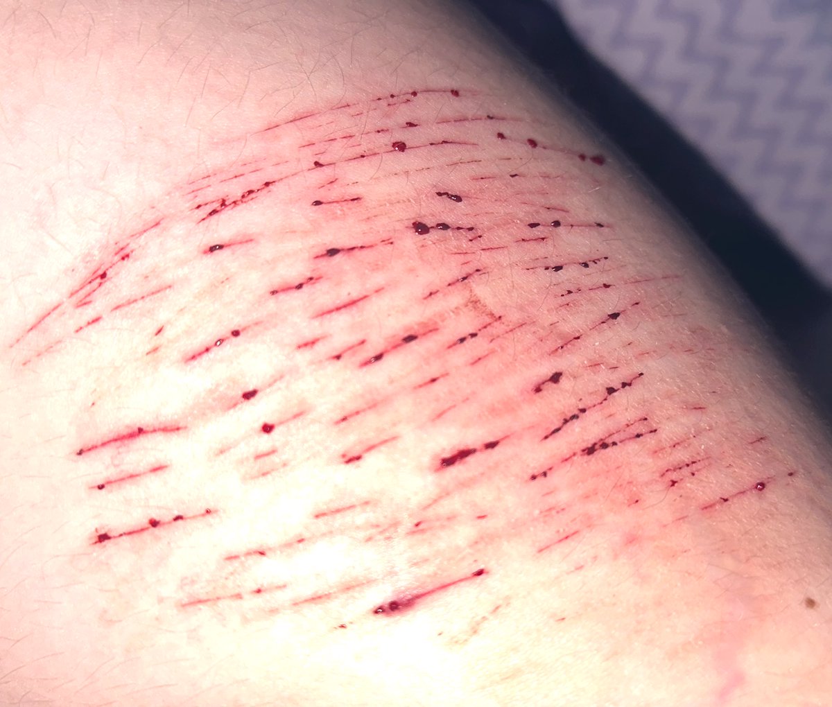 magolor of beginner shtwt tweet media