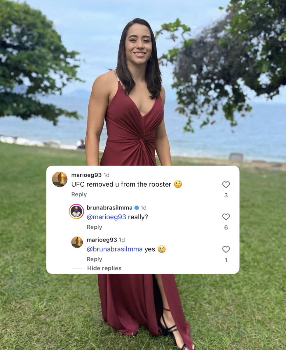 Full Mount MMA tweet media