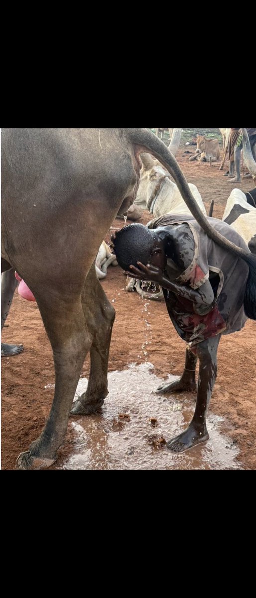 frothstein 🇺🇲 tweet media