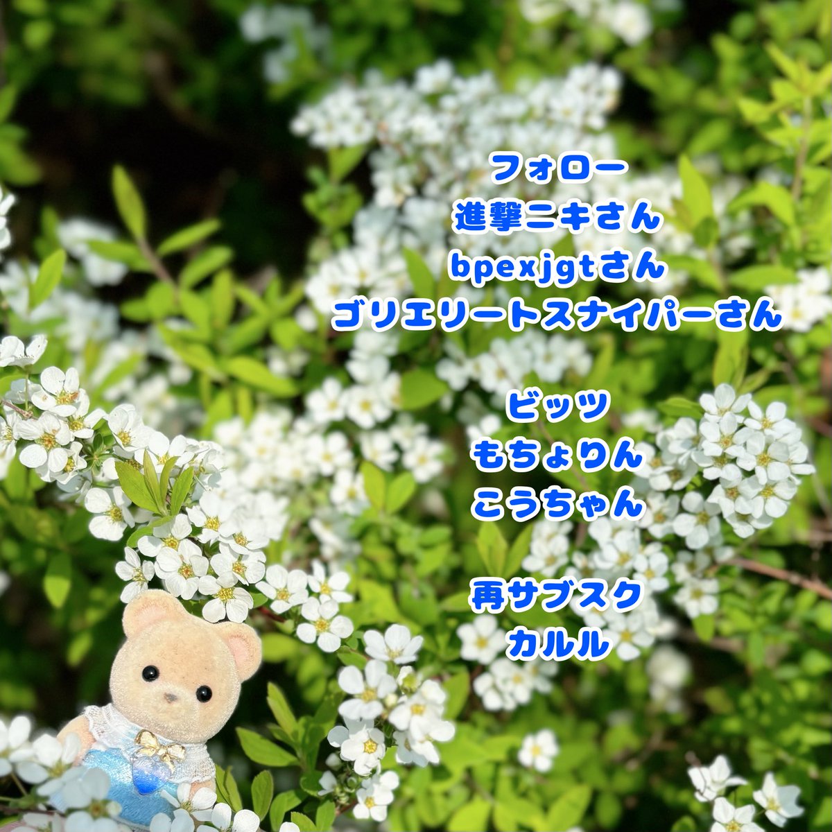 いかぴっぴ tweet media