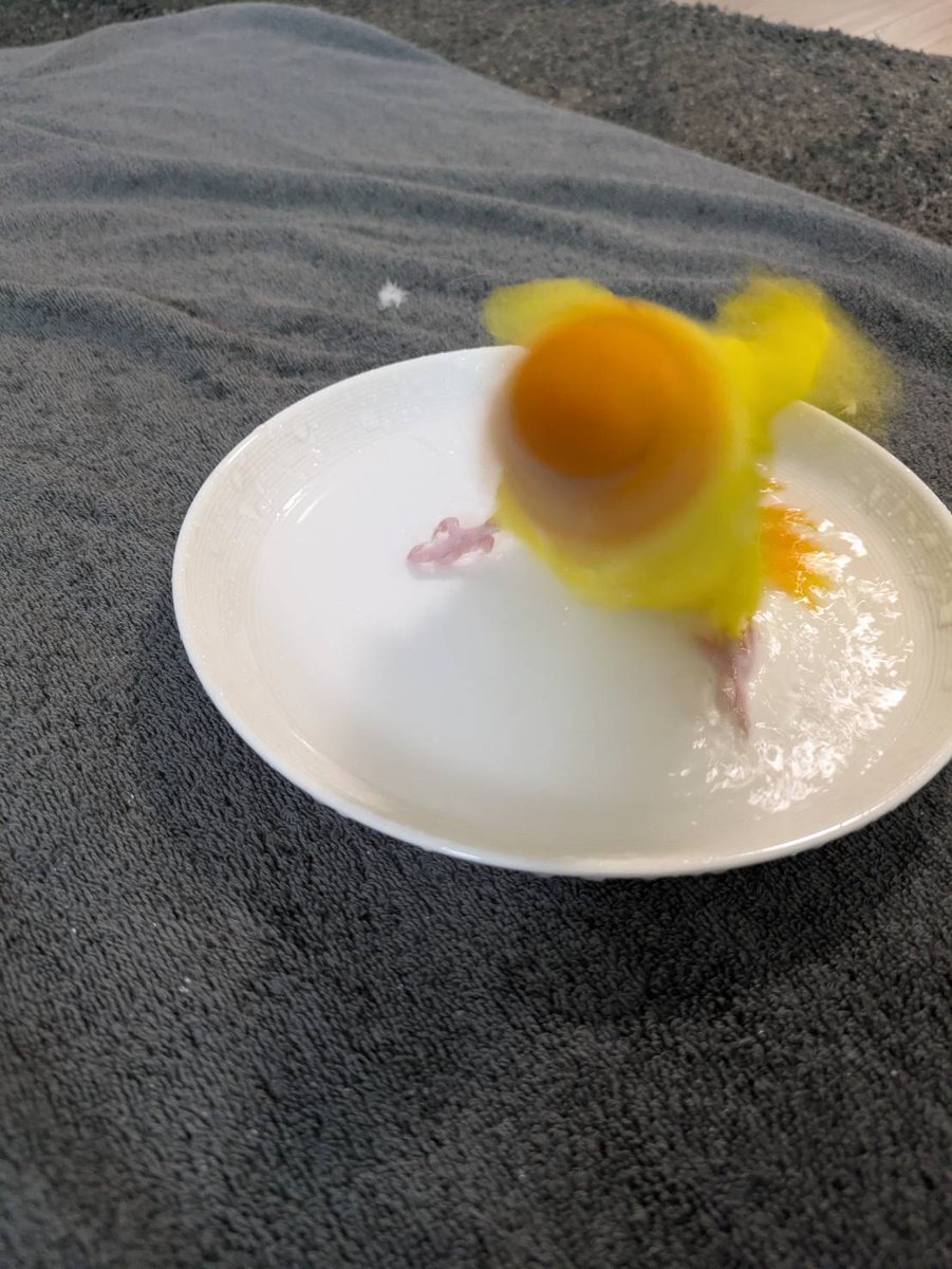 なか☕🍩公務員辞めたことも忘れがち tweet media