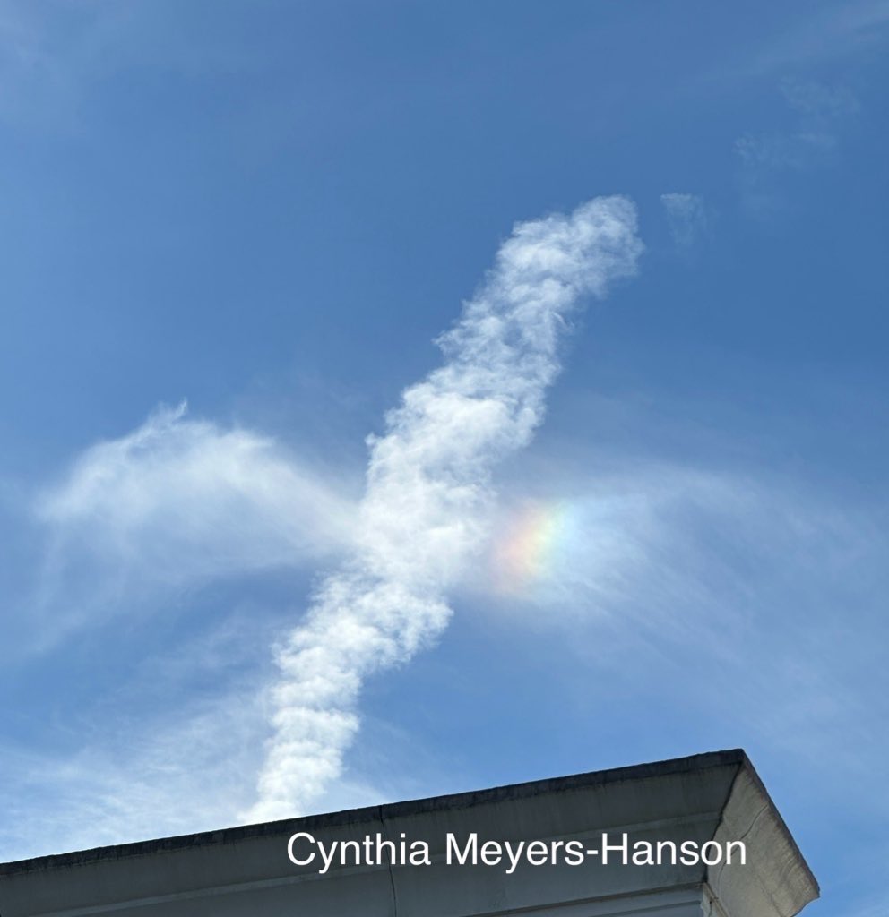 Sky-Princess-Cindy tweet media