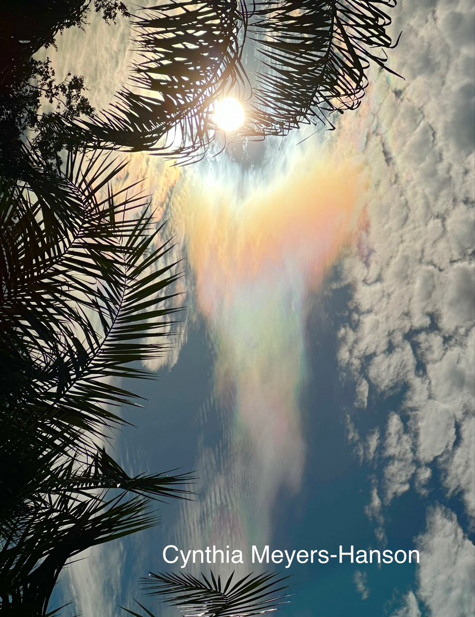 Sky-Princess-Cindy tweet media