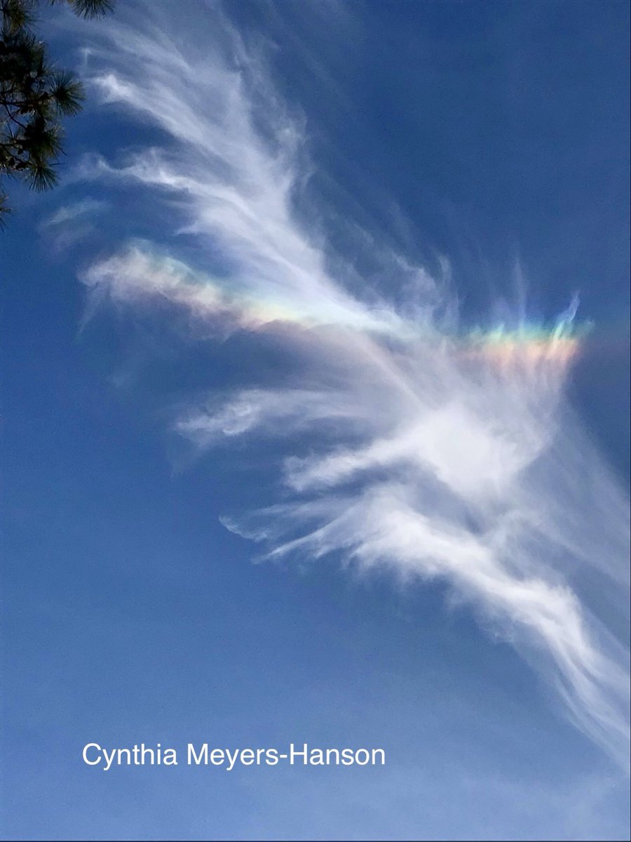 Sky-Princess-Cindy tweet media