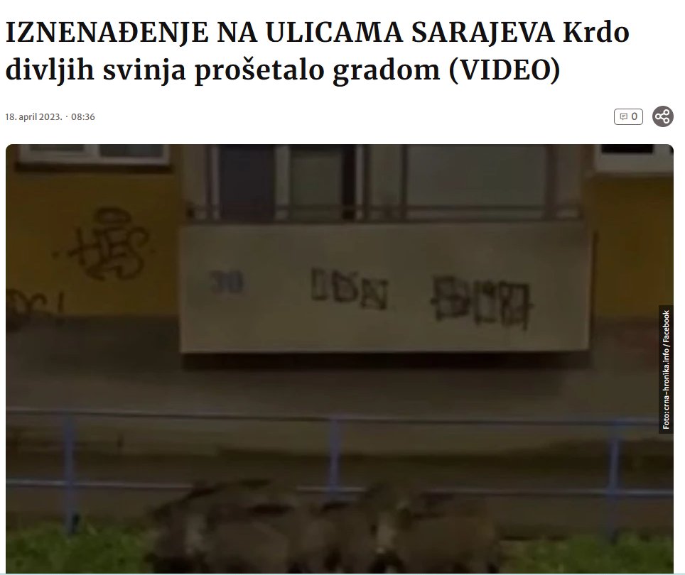 Стари Прагиста tweet media