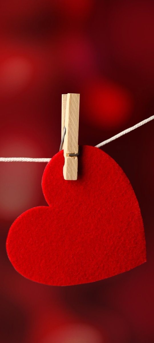 لحظة _نقية tweet media