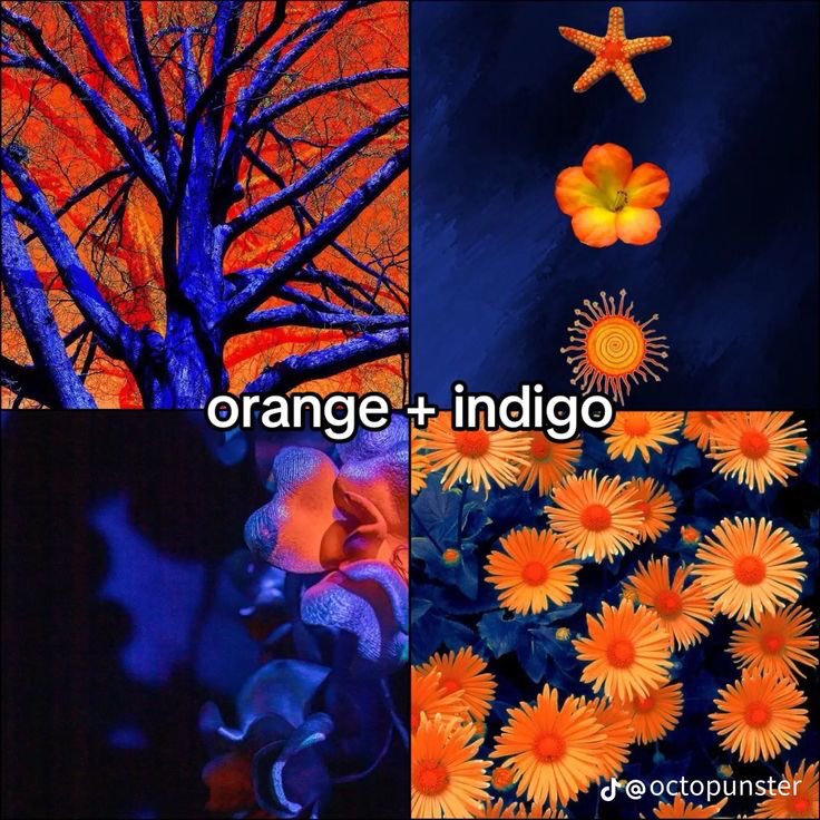 violet✧*｡ tweet media