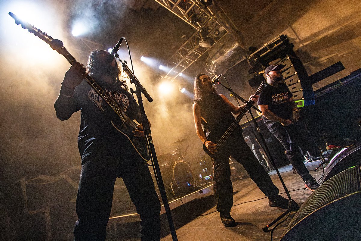 Electric Bloom Webzine tweet media