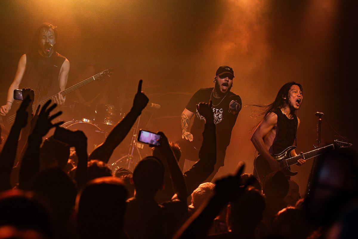 Electric Bloom Webzine tweet media