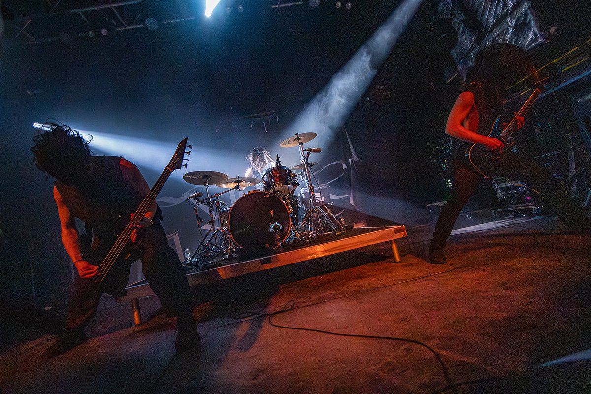 Electric Bloom Webzine tweet media