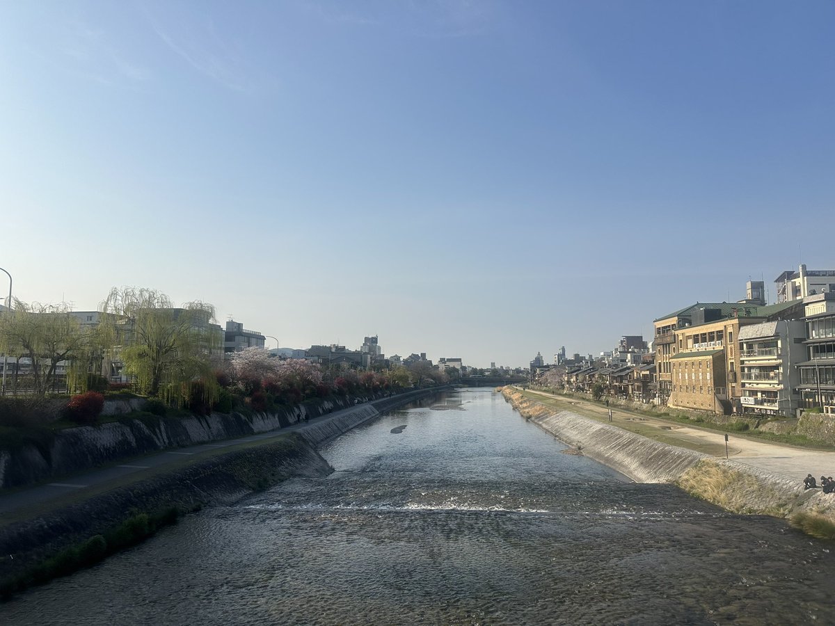 トーマ@Tomash tweet media