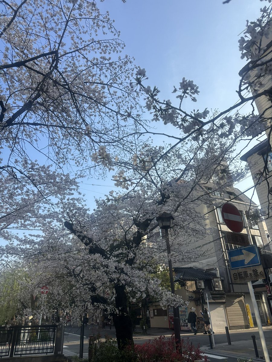 トーマ@Tomash tweet media