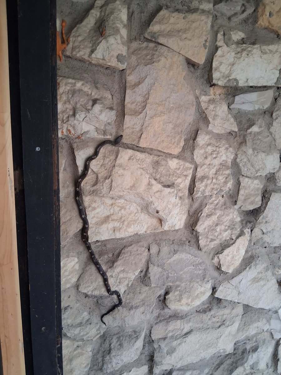 ᅠᅠ ᅠᅠ ᅠᅠ ᅠᅠ ᅠᅠ ᅠᅠ ᅠᅠ ᅠᅠ— 𝕳𝖊𝖑𝖑𝖋𝖎𝖗𝖊 .ᐟ tweet media