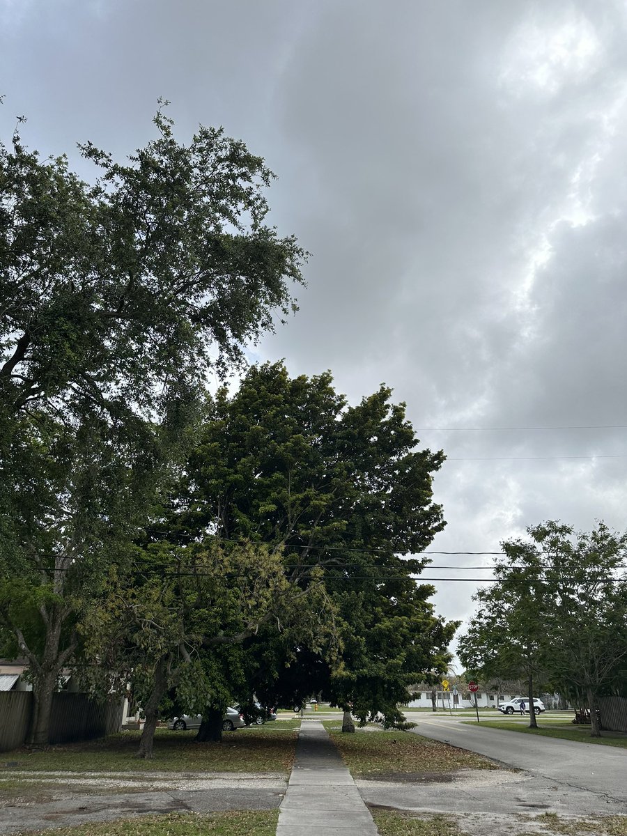 Major Angel Samurai Jones and Ichigo tweet media