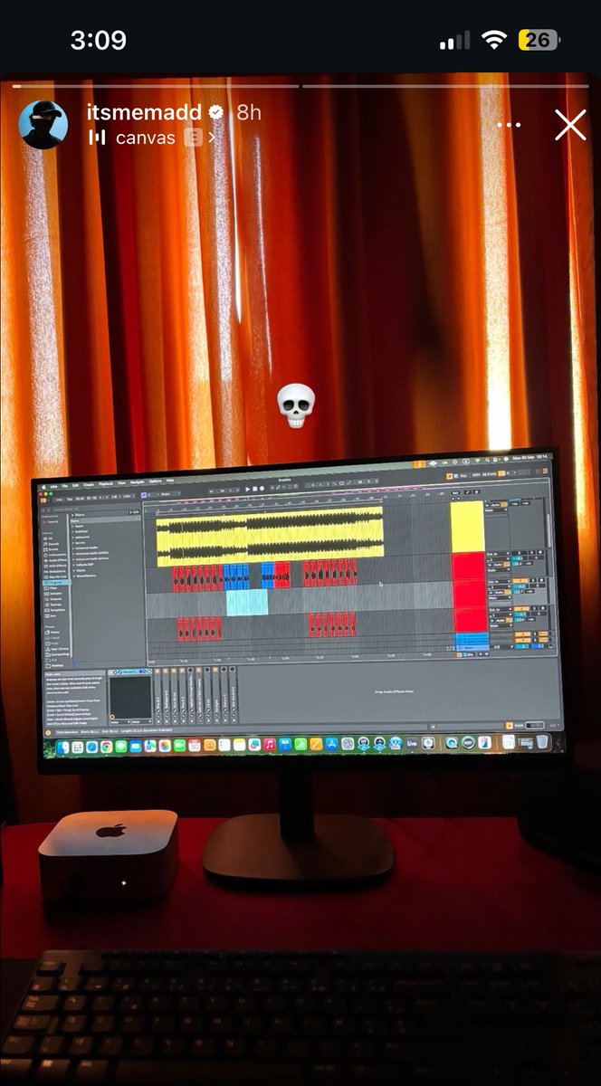 vnvs_3310 tweet media