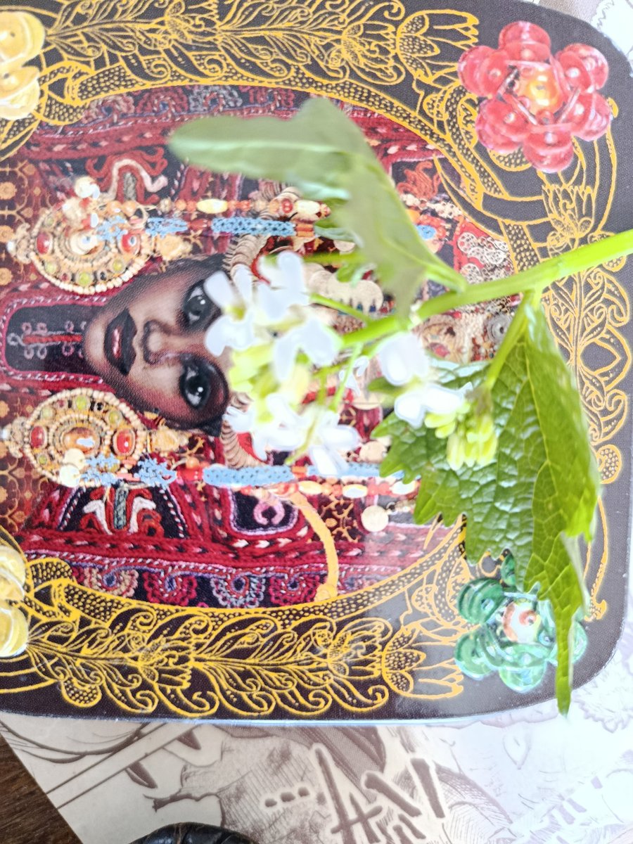 Scan, le fléau des bœufs. tweet media