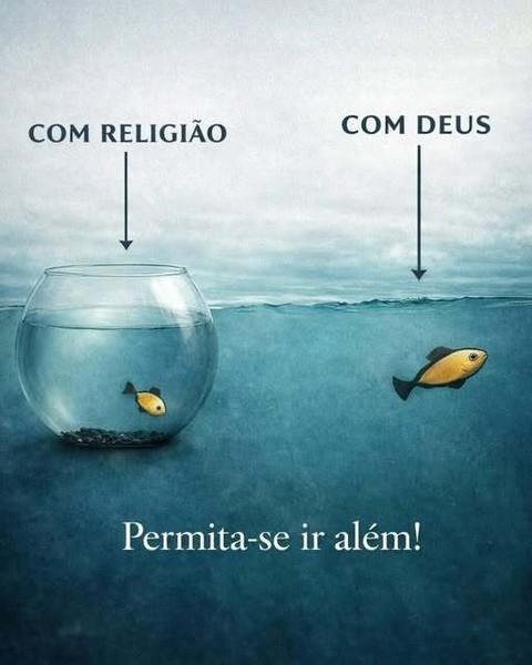 Afrodite tweet media