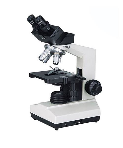 سبانخ tweet media