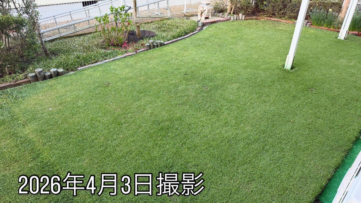 芝生の雑学 東京40まいる tweet media