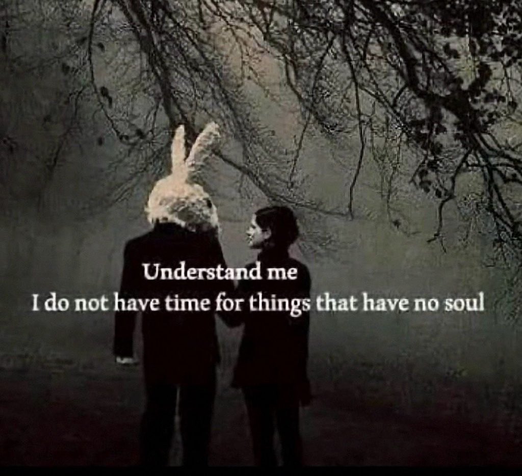 Shamz Tabrizi tweet media