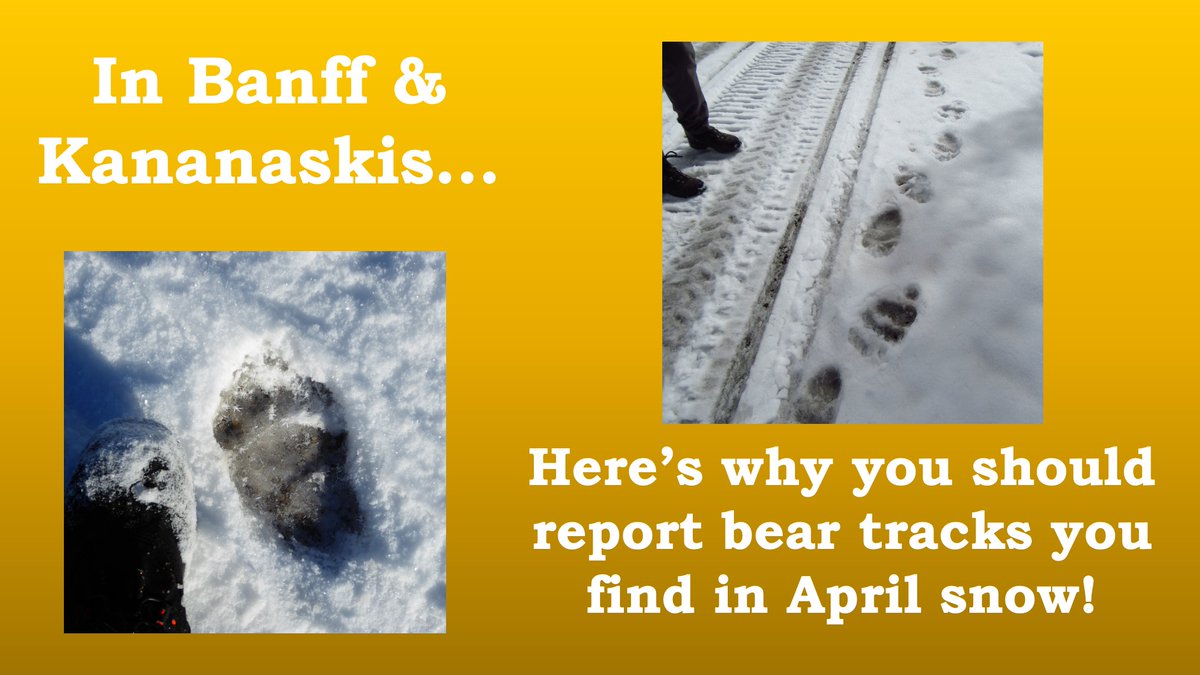 Derek Ryder tweet media