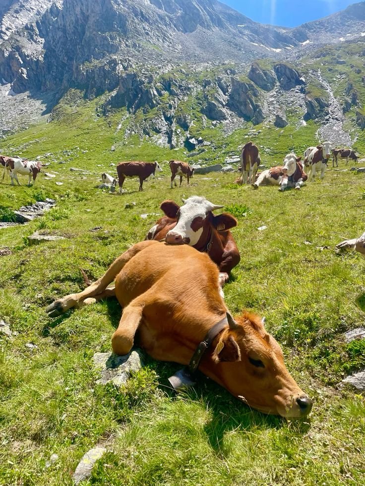 𝖕𝖚𝖓𝖎𝖘𝖍𝖊𝖉 𝖘𝖑𝖎𝖒𝖊 🩸 tweet media