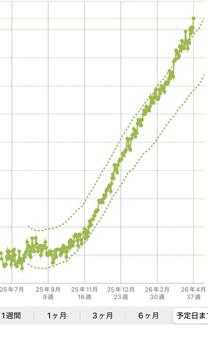 ホタテ 体外→初マタ🦖38w tweet media