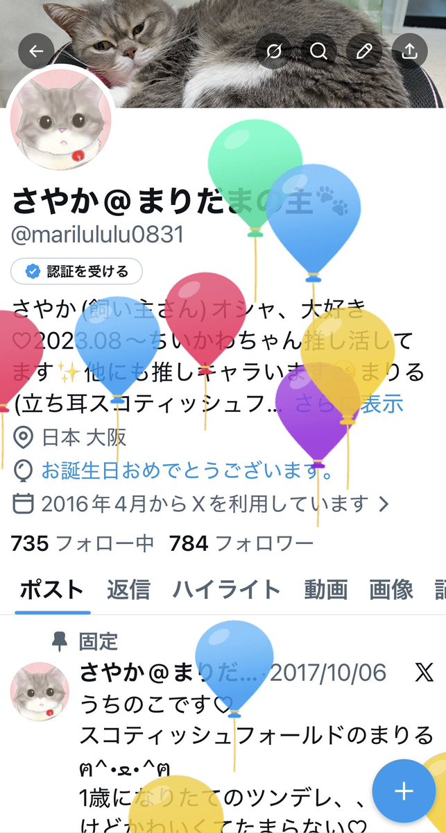 さやか@まりだまの主🐾 tweet media