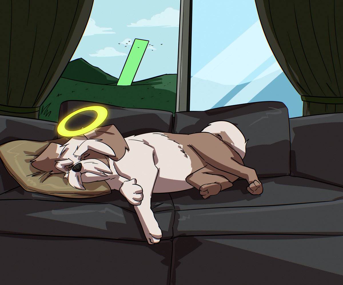 Justice for $mojo 🐶❤️