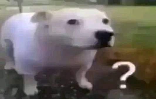 gangle of shedtwt i mean normaltwt tweet media