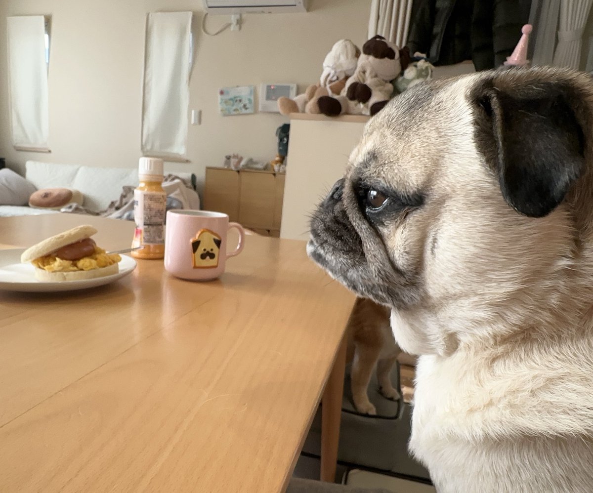 きたむら tweet media