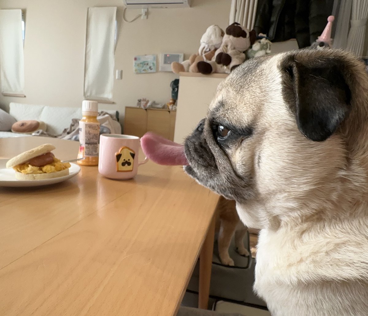 きたむら tweet media