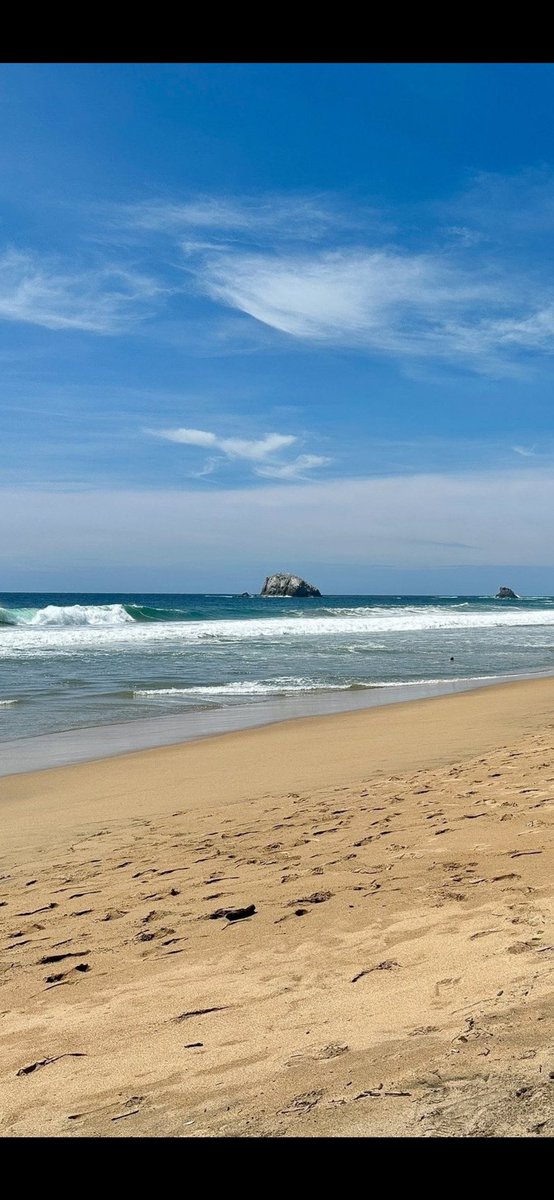 Nata Sánchez tweet media