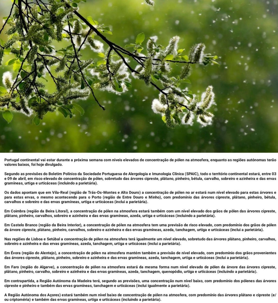 𝕡𝕒ç𝕠𝕤 em 𝕟𝕠𝕥í𝕔𝕚𝕒𝕤 tweet media