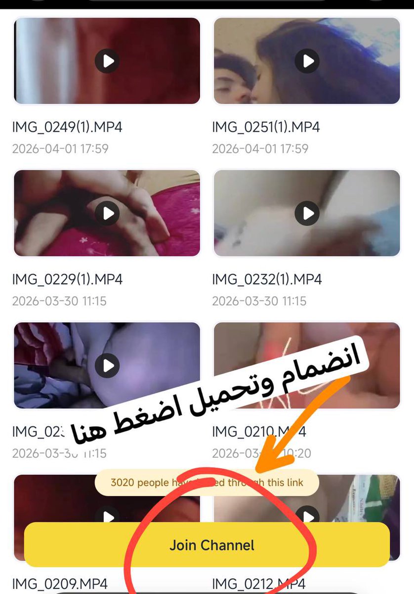 فحل عراقي tweet media
