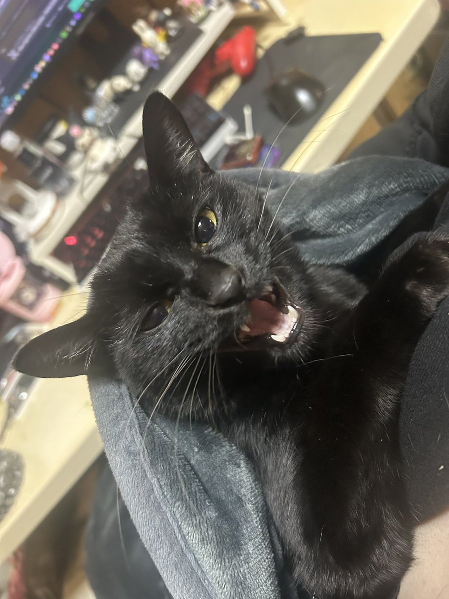 とがぴぴ🚬🐼ᩚ tweet media