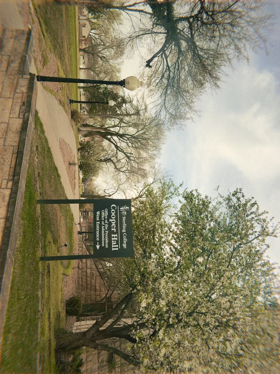 Sadie Alberty tweet media