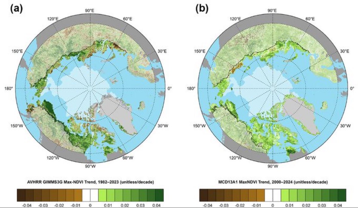 André Arthur Live du Paradis ✨ tweet media