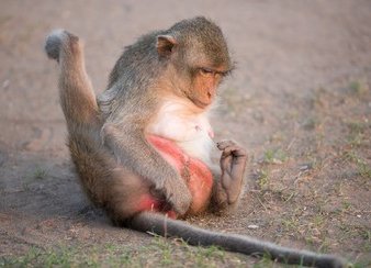 The equalizer tweet media