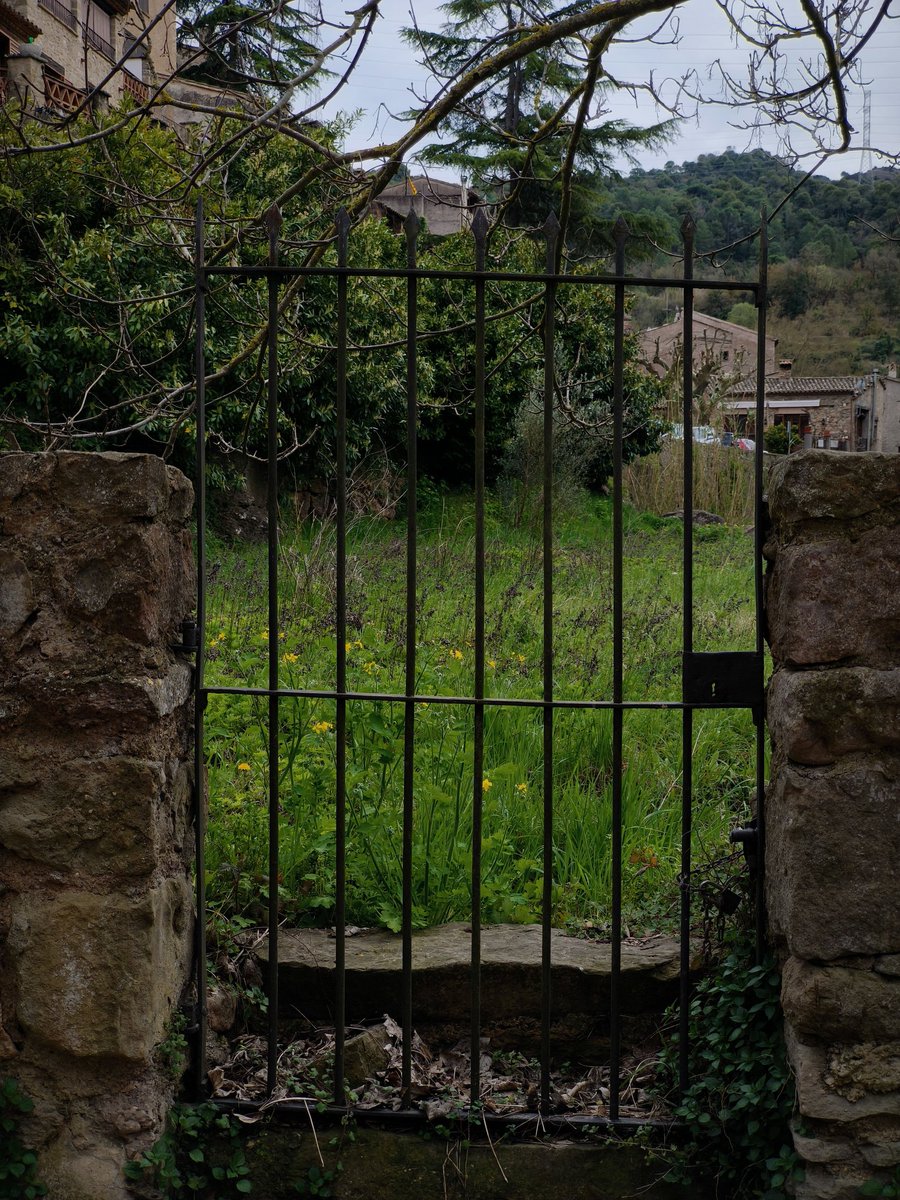 María Sender 🐺🇮🇪🔻💜 🌈 🍉 tweet media