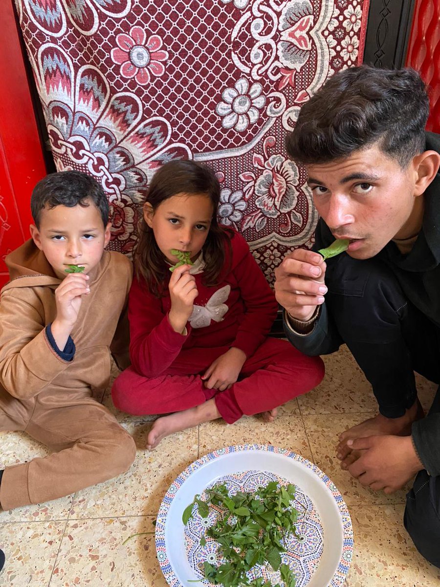 MOHAMMED 🇵🇸 tweet media