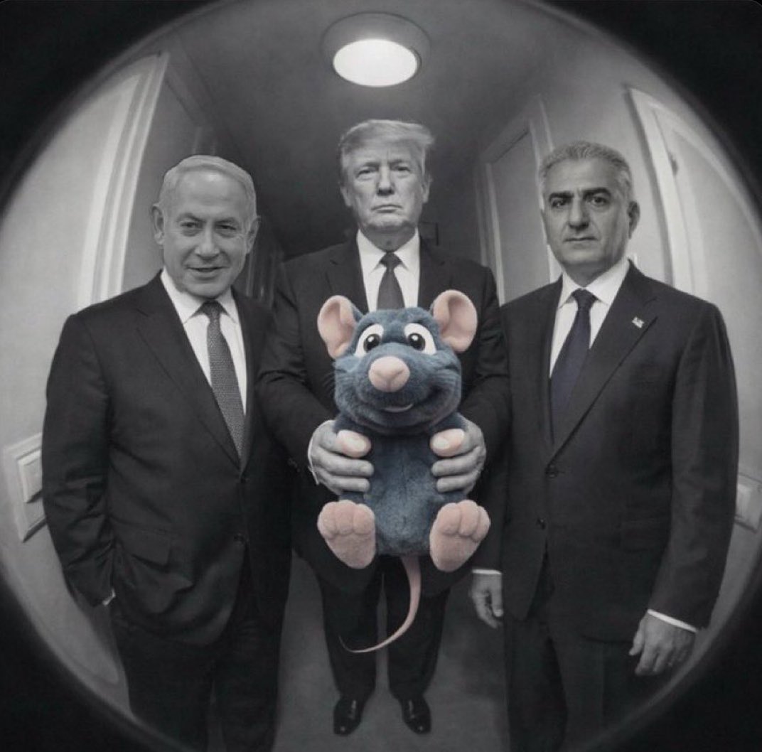 navid 🇮🇷🇨🇦 tweet media