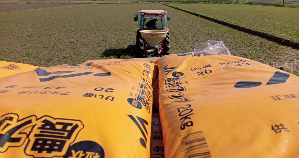 ゆーちゃん𖥧𖥣𖡡𖥧 tweet media